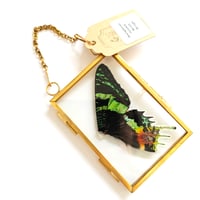 Image 2 of Sunset Moth Wings Golden Hanging Decoration