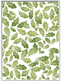 Poster 50x70cm <br><em>Ek</em>