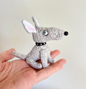 Image of Dusty the Bull Terrier