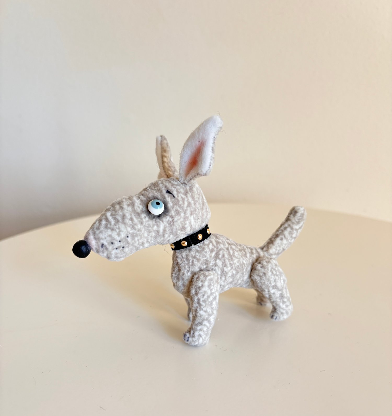 Image of Dusty the Bull Terrier