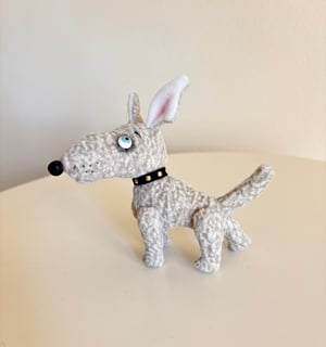 Image of Dusty the Bull Terrier