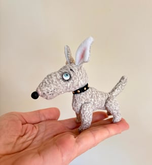 Image of Dusty the Bull Terrier