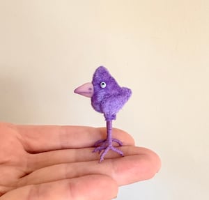 Image of Copy of Crested Bitty Birdie #5