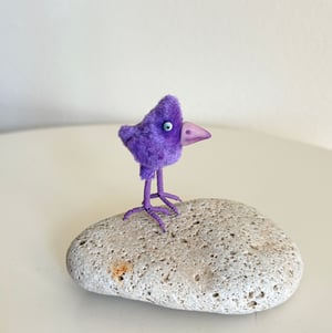 Image of Copy of Crested Bitty Birdie #5