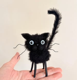 Image of Eddie the Mad Cat