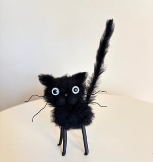 Image of Eddie the Mad Cat