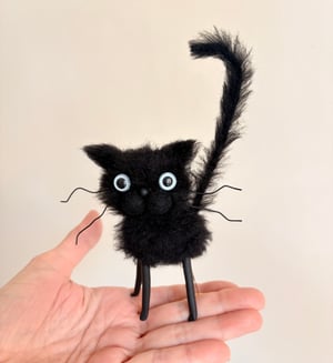 Image of Eddie the Mad Cat