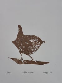 Little Wren