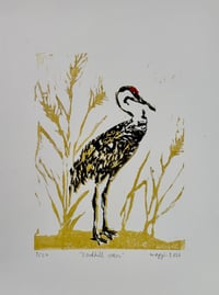 Sandhill Crane (limited edition)