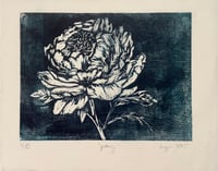 Peony Print