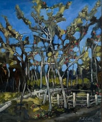 Image 1 of Fence in Woods, France