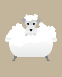 Image 2 of Schnauzer Collection