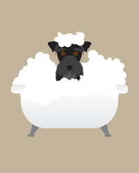 Image 4 of Schnauzer Collection