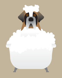 Image 3 of St. Bernard Collection