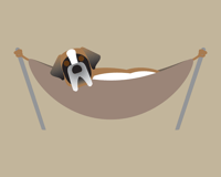 Image 5 of St. Bernard Collection