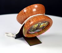 Image 4 of Australian Sheoak yo-yo, #2026-039