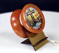 Image 5 of Australian Sheoak yo-yo, #2026-039