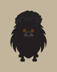 Image 1 of Pomeranian Collection 