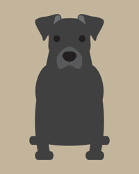 Image 2 of Pit Bull Collection