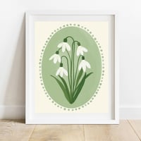 Snowdrops