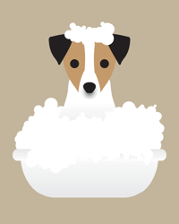 Image 2 of Jack Russell Collection