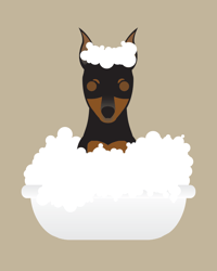 Image 2 of Miniature Pinscher Collection