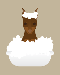 Image 4 of Miniature Pinscher Collection