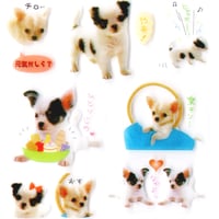 Image 2 of 'Chihuahua Puppy' Seal Collection