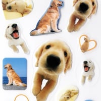 Image 2 of 'Golden Retriever' Sticker Sheet