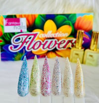 Flower Collection 