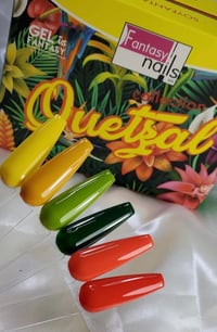 Quetsal Collection 