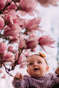 Image 2 of 3-29-26 Mini Session Deposit