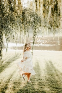 Image 5 of Willow Mini  $175