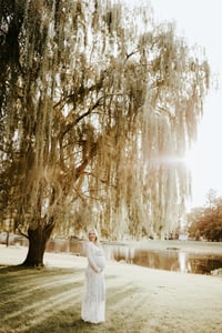 Image 3 of Willow Mini  $175