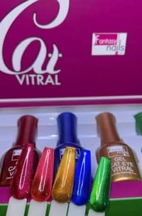 Cat Vitral Collection 