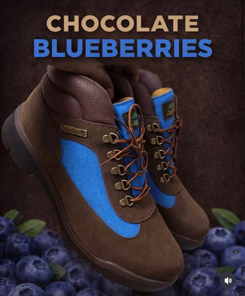 Image of Chocolate cover blueberries 