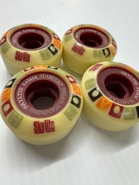 Image 4 of Vintage Habitat Brian Wenning skylights 54mm