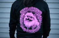 Image 1 of FUCK AROUND AND FIND OUT HOODIE