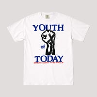 Image 1 of Youth Of Today 'Break Down The Walls'