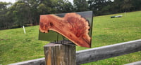 Image 1 of Brown Mallee Burl charcuterie board with smoke black resin -150