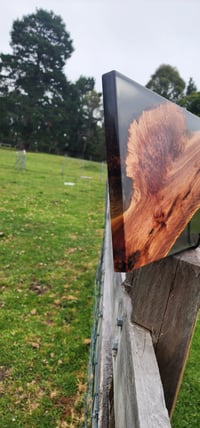 Image 5 of Brown Mallee Burl charcuterie board with smoke black resin -150