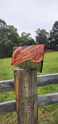Image 7 of Brown Mallee Burl charcuterie board with smoke black resin -150