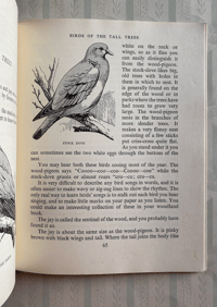 Image 2 of In a wood Margaret M Hutchinson