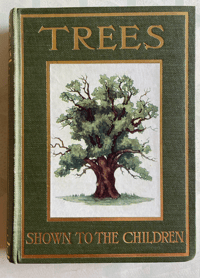 Image 1 of Trees Shown to the children