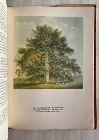 Image 2 of Trees in Britain A.L.Howard