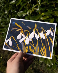 Image 2 of Nocturnal Snowdrop print
