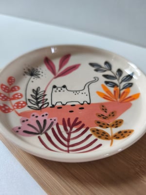 Image of Coupelle chat