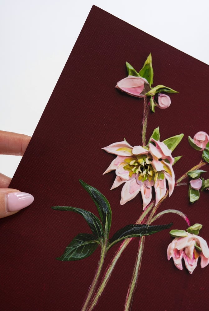 Image of Hellebore On Burgundy I Giclèe Print