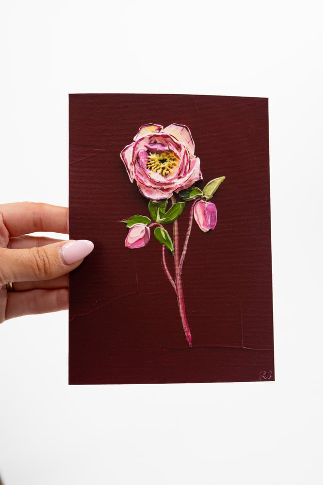 Image of Hellebore On Burgundy II Giclée Print