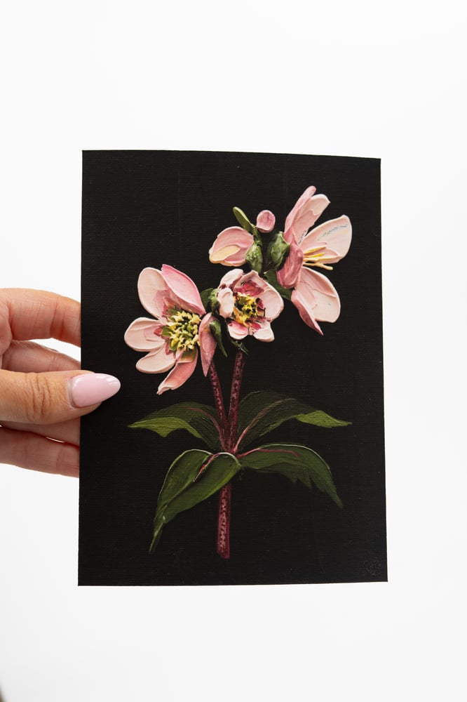 Image of Hellebore On Almost Black II Giclée Print